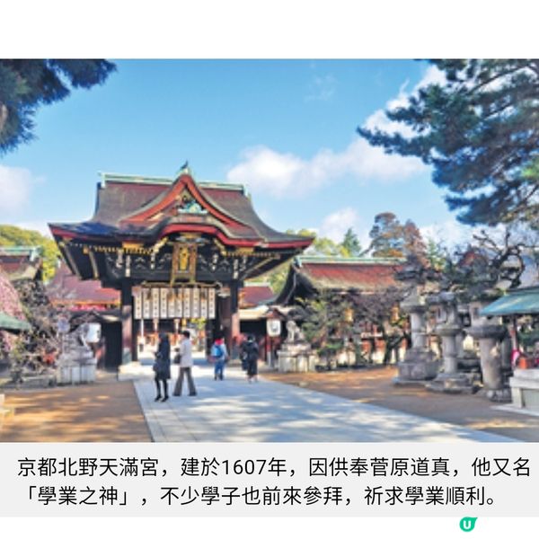 京都北野天滿宮 月底賞梅盛節