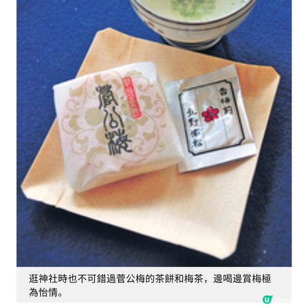 京都北野天滿宮 月底賞梅盛節