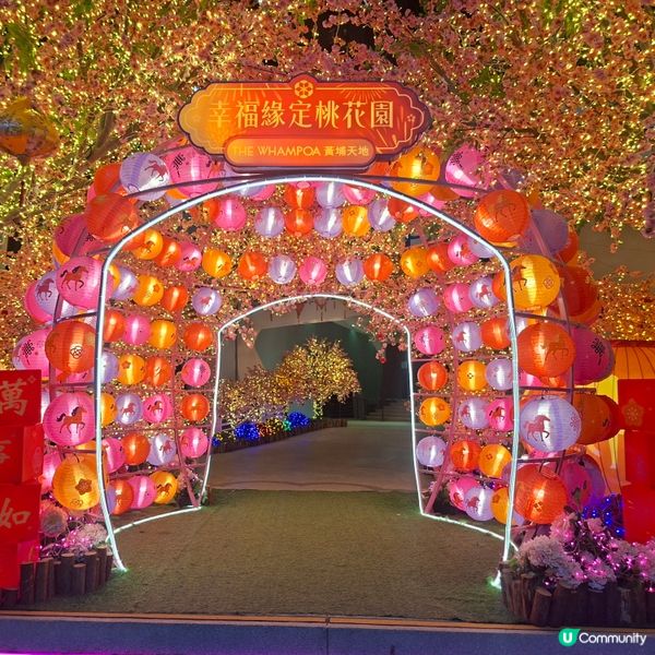 ✨2026農曆新年好去處💞黃埔靚靚打卡位-幸福緣定桃花園