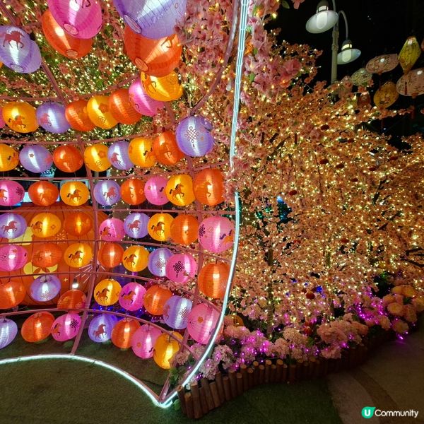 ✨2026農曆新年好去處💞黃埔靚靚打卡位-幸福緣定桃花園