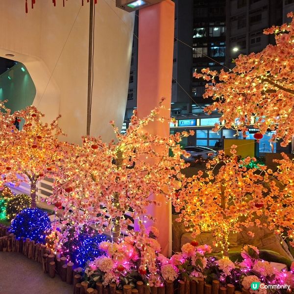 ✨2026農曆新年好去處💞黃埔靚靚打卡位-幸福緣定桃花園