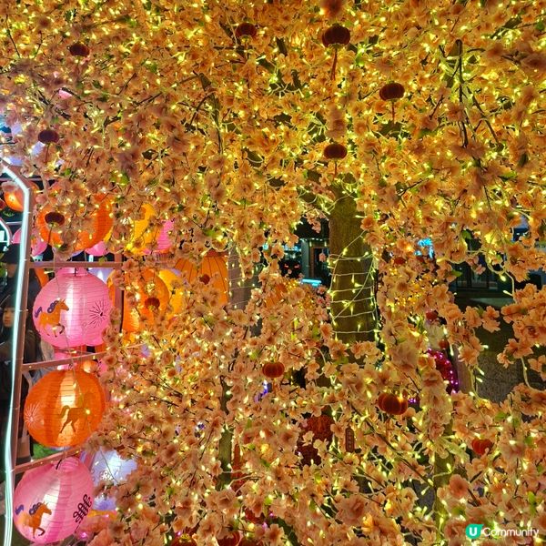 ✨2026農曆新年好去處💞黃埔靚靚打卡位-幸福緣定桃花園