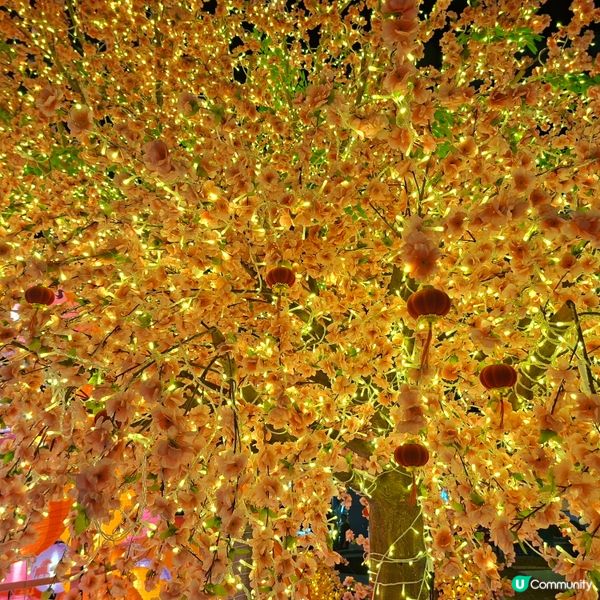 ✨2026農曆新年好去處💞黃埔靚靚打卡位-幸福緣定桃花園