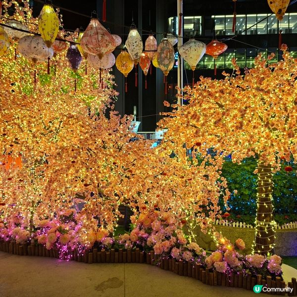 ✨2026農曆新年好去處💞黃埔靚靚打卡位-幸福緣定桃花園