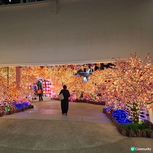 ✨2026農曆新年好去處💞黃埔靚靚打卡位-幸福緣定桃花園