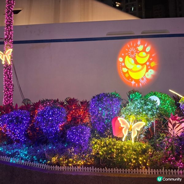 ✨2026農曆新年好去處💞黃埔靚靚打卡位-幸福緣定桃花園