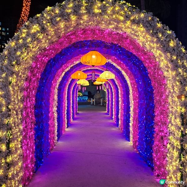 ✨2026農曆新年好去處💞黃埔靚靚打卡位-幸福緣定桃花園