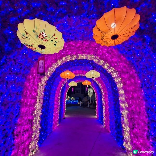 ✨2026農曆新年好去處💞黃埔靚靚打卡位-幸福緣定桃花園