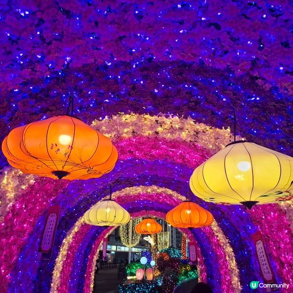 ✨2026農曆新年好去處💞黃埔靚靚打卡位-幸福緣定桃花園