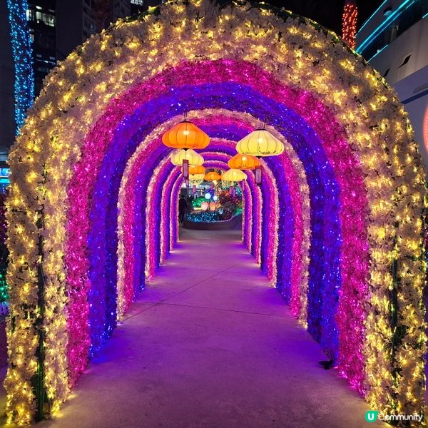 ✨2026農曆新年好去處💞黃埔靚靚打卡位-幸福緣定桃花園