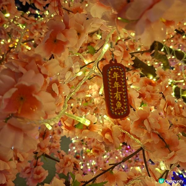 ✨2026農曆新年好去處💞黃埔靚靚打卡位-幸福緣定桃花園