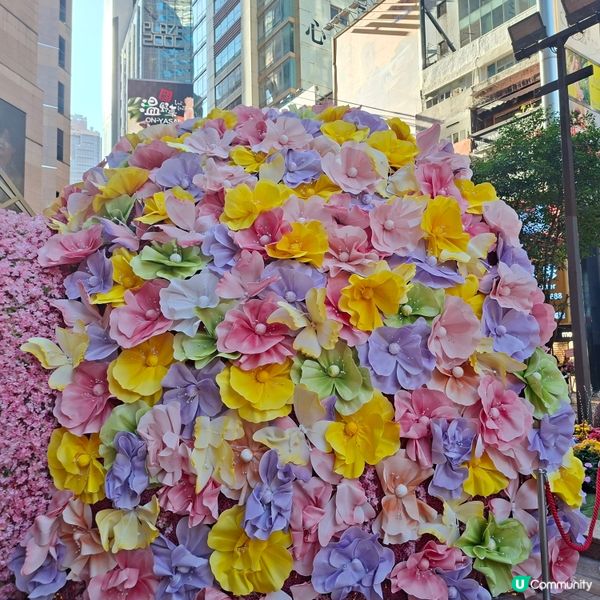 2026農曆新年好去處💞時代廣場KNOT KNOT新春活動