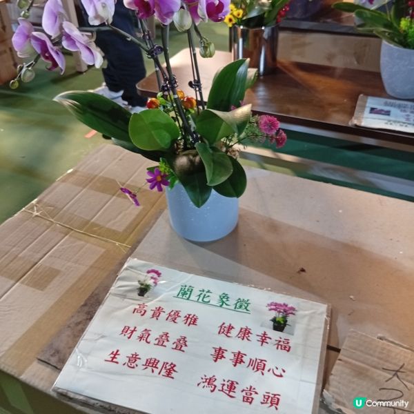 維園年宵勁墟冚！快啲嚟行🏃‍♀️💐