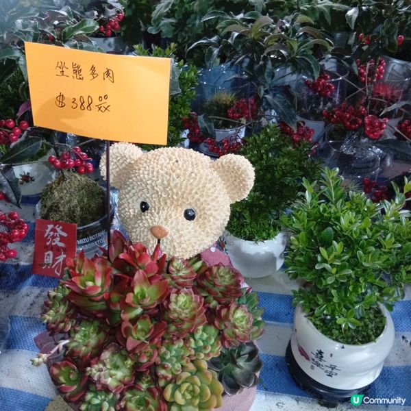 維園年宵勁墟冚！快啲嚟行🏃‍♀️💐