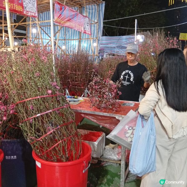 維園年宵勁墟冚！快啲嚟行🏃‍♀️💐