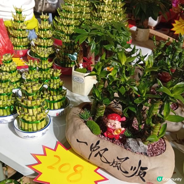 維園年宵勁墟冚！快啲嚟行🏃‍♀️💐