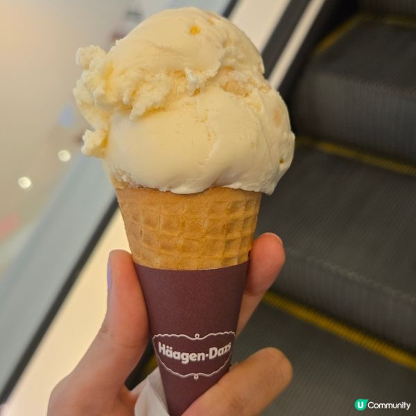 Häagen-Dazs夏威夷果仁雪糕🍦