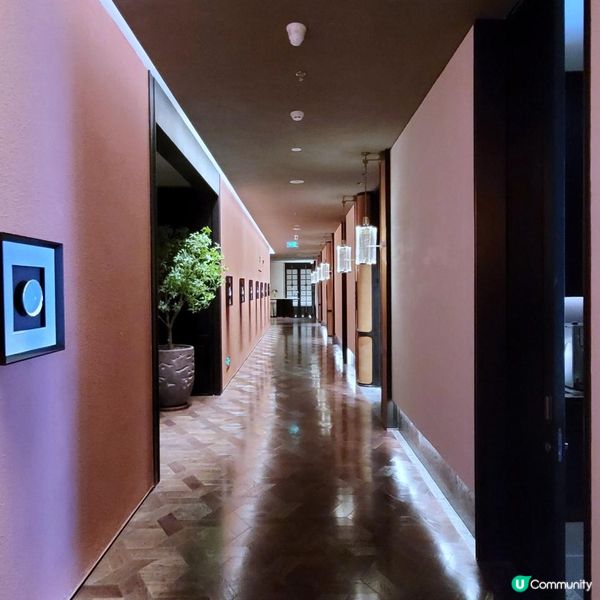 《環迴深圳》X 亮麗賀年菜 @ 夏宮 ( 南山香格里拉酒店 )