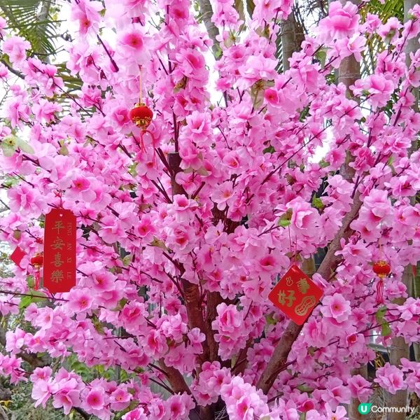 馬年行好運🧧開開心心迎新歲🎉