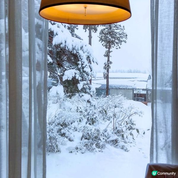 冰屋雪國童話  :冬 2月限定