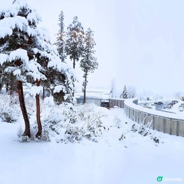 冰屋雪國童話  :冬 2月限定