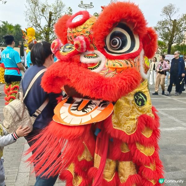 年初三江門遊紫雲觀祈福食燒鵝遇醒獅給模頭