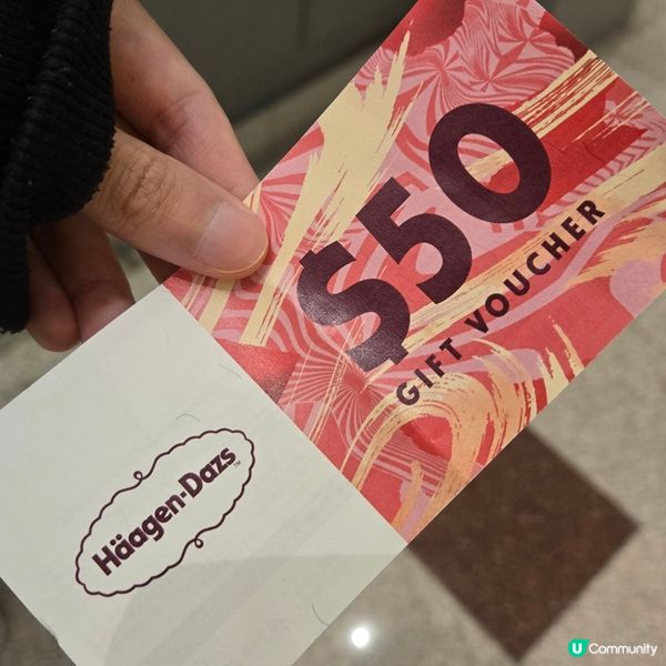 Häagen-Dazs 夏威夷果仁雪糕