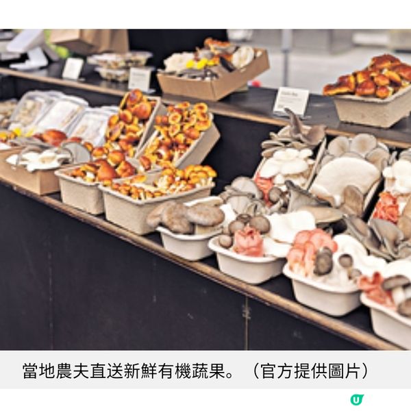 澳洲市集行大運買盲盒玩具 塔斯曼尼亞滿足味蕾與童心之旅