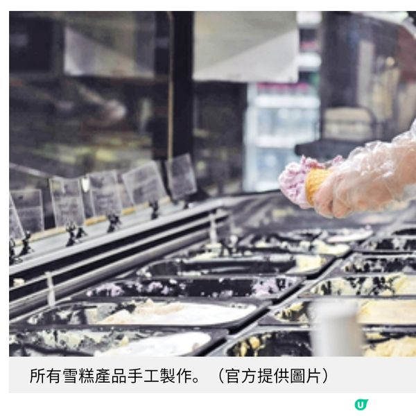澳洲市集行大運買盲盒玩具 塔斯曼尼亞滿足味蕾與童心之旅