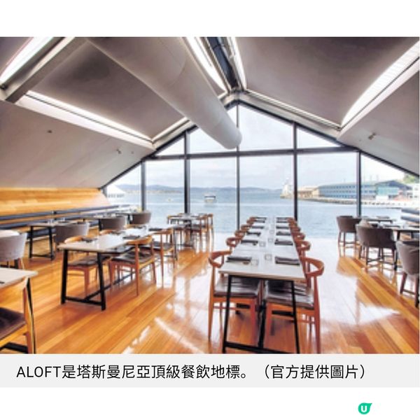 澳洲市集行大運買盲盒玩具 塔斯曼尼亞滿足味蕾與童心之旅