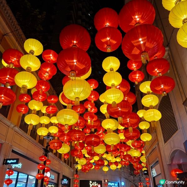 ✨香港假日好去處😍灣仔利東街新春活動「燈海桃林賀新歲」🥳