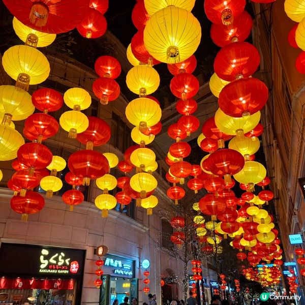 ✨香港假日好去處😍灣仔利東街新春活動「燈海桃林賀新歲」🥳