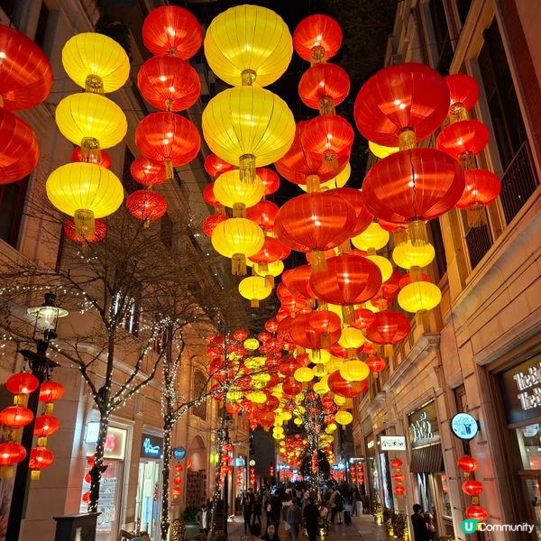 ✨香港假日好去處😍灣仔利東街新春活動「燈海桃林賀新歲」🥳