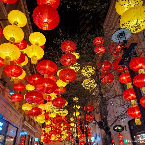 ✨香港假日好去處😍灣仔利東街新春活動「燈海桃林賀新歲」🥳