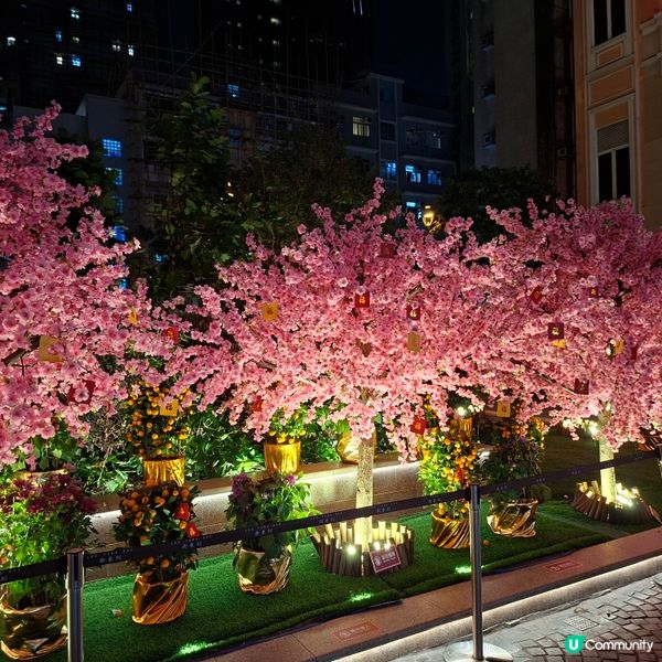 ✨香港假日好去處😍灣仔利東街新春活動「燈海桃林賀新歲」🥳