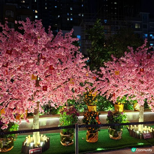 ✨香港假日好去處😍灣仔利東街新春活動「燈海桃林賀新歲」🥳