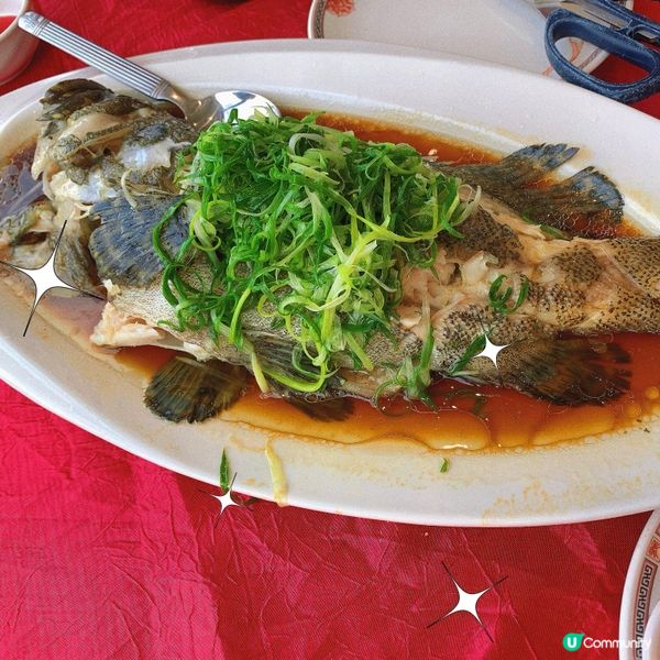 將軍澳｜特色茶樓🫖