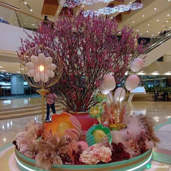 駿馬躍太古，新歲添福氣🐎✨