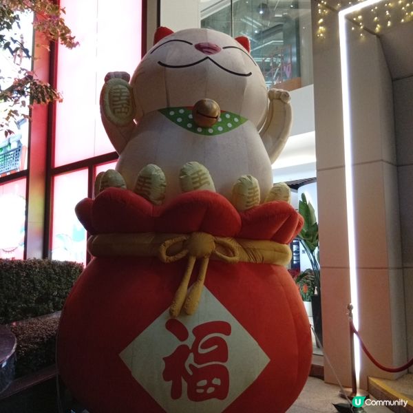 萌馬現身西寶城！新春好運到🧧✨