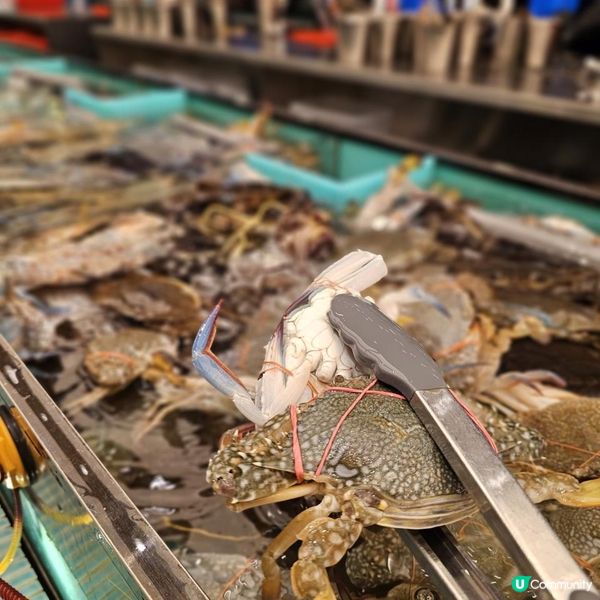 水產午市放題食足4個鐘