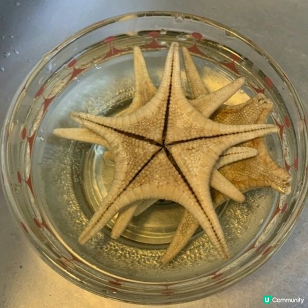 海底椰海星雪梨湯—解毒潤肺止咳

原文網址: 止咳湯水｜寒咳