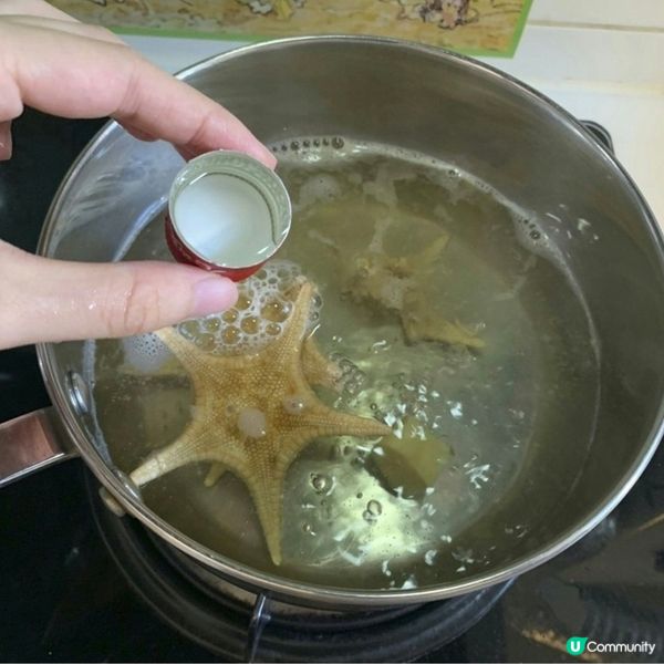 海底椰海星雪梨湯—解毒潤肺止咳

原文網址: 止咳湯水｜寒咳