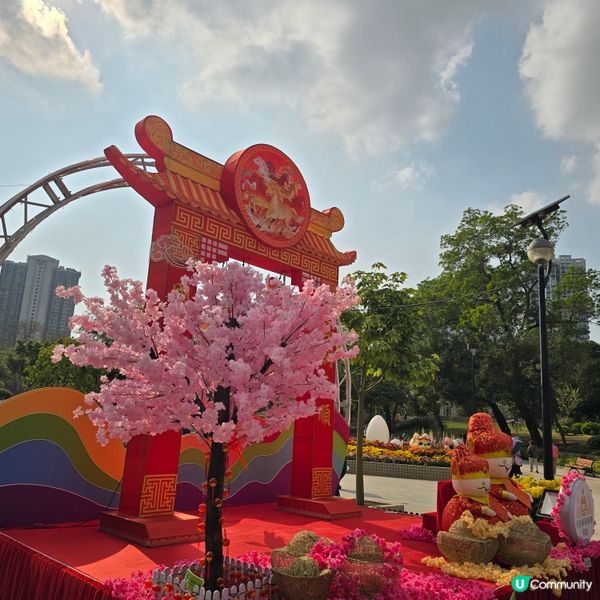 天水圍公園賞花去 🌸🌼
