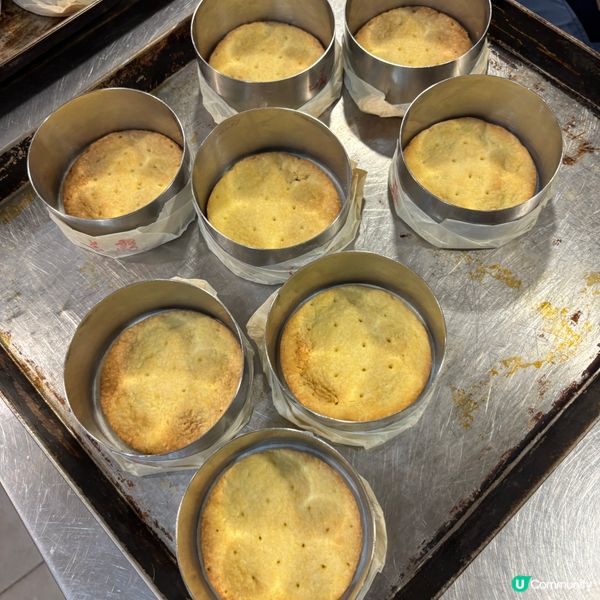 開心學整美國芝士蛋糕！🍰🥭