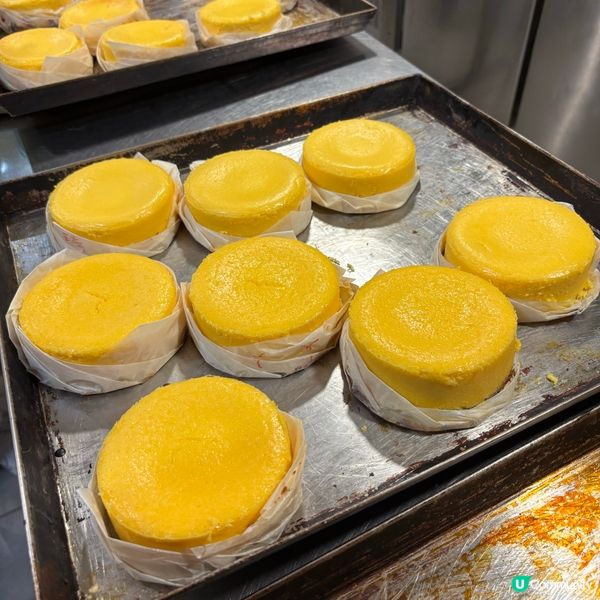 開心學整美國芝士蛋糕！🍰🥭