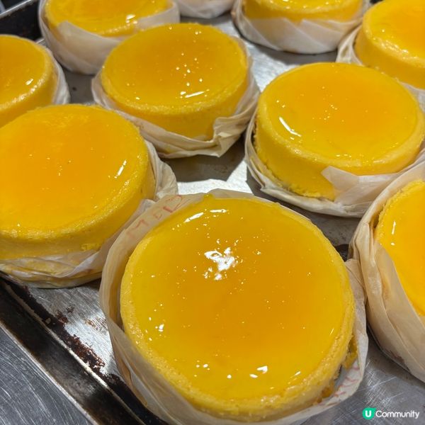 開心學整美國芝士蛋糕！🍰🥭