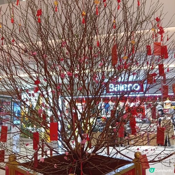 二人同行一小童免費船票，去澳門葡一葡！ 🏠🐭🚢