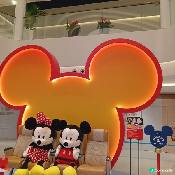 二人同行一小童免費船票，去澳門葡一葡！ 🏠🐭🚢