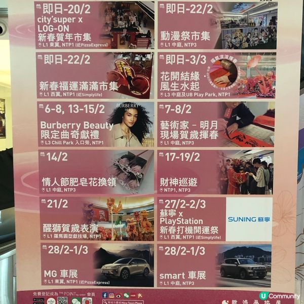 元宵花開結緣💖📸