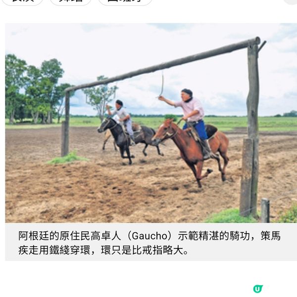 阿根廷牛仔馬上穿環騎功